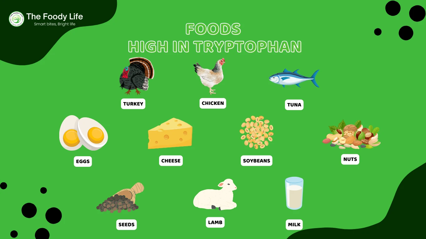 Foods High in Tryptophan 