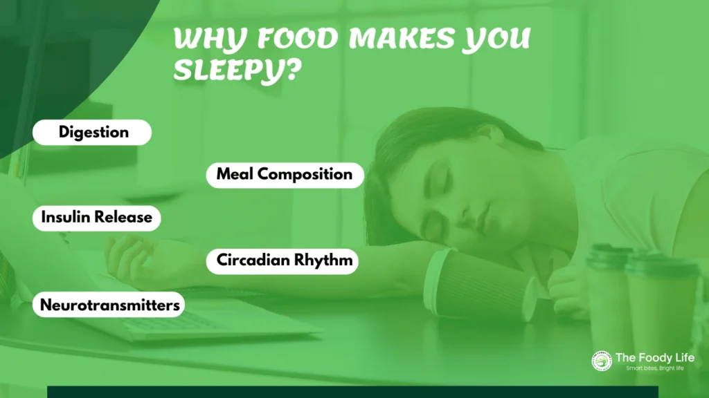 Why Food Makes You Sleepy