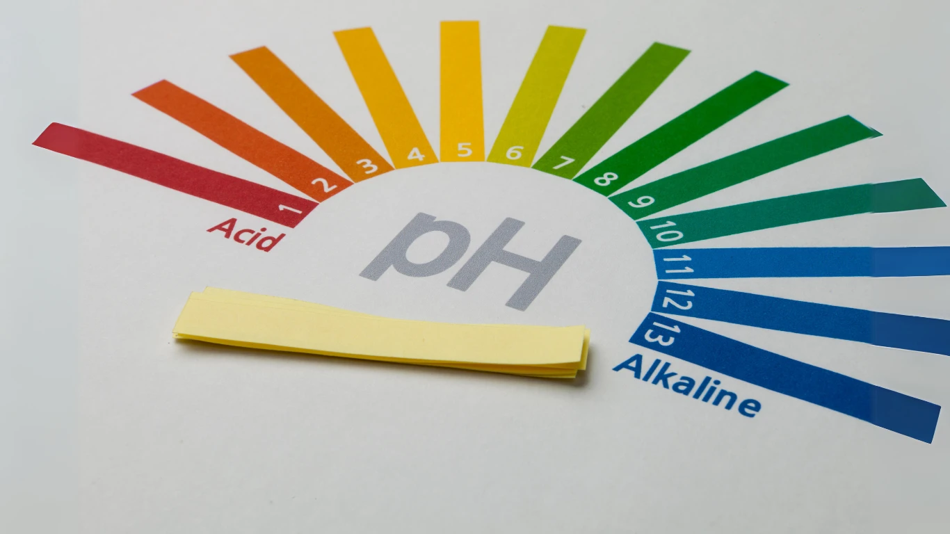 Diagnosing High Alkaline Phosphatase 