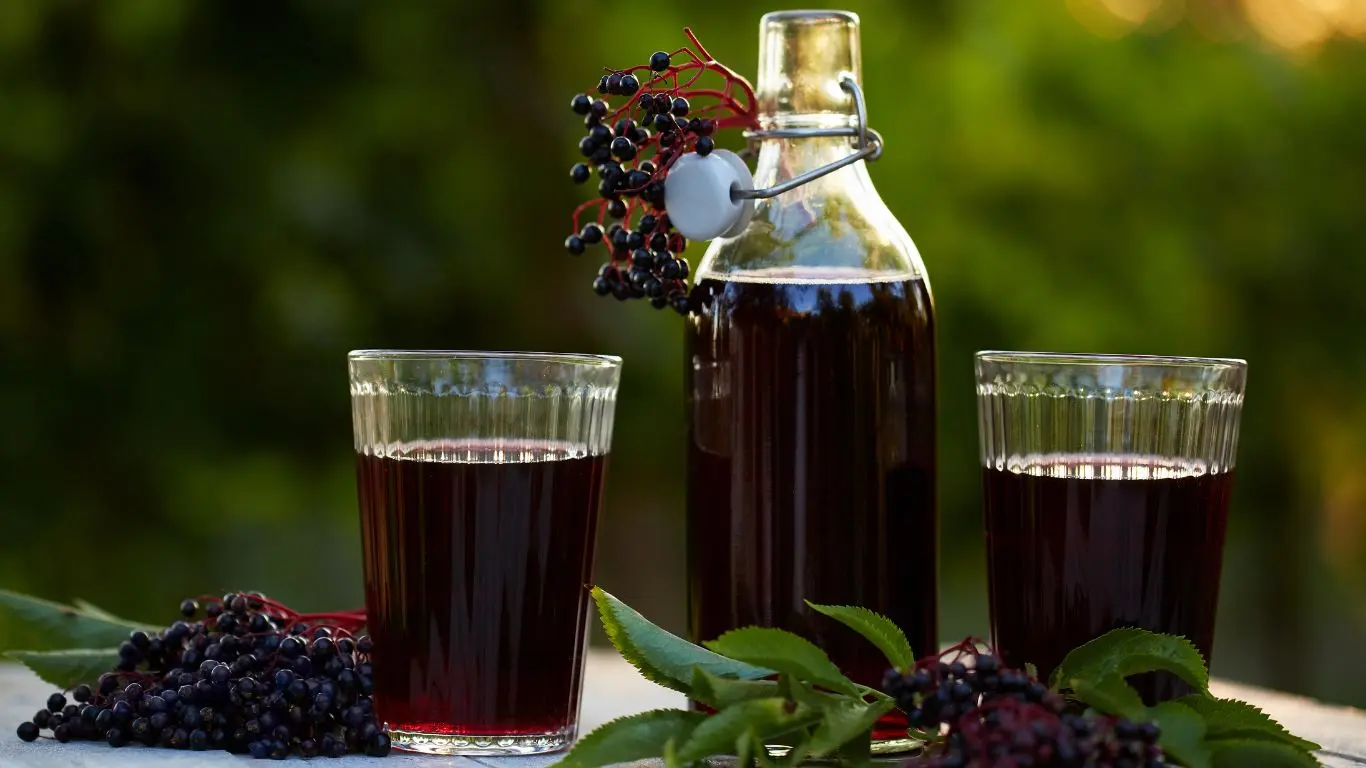 elderberry tea